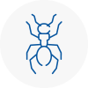 Ant Removals In Lydiate
