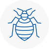 Bed Bug Extermination In Lydiate