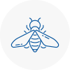 Bee Nest Removal Lydiate