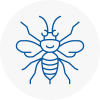 Lydiate Hornet Nest Removals
