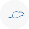 Mice Exterminators In Lydiate