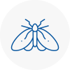 Moth Control Specialists In Lydiate