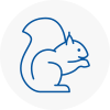 Lydiate Rodent Removals